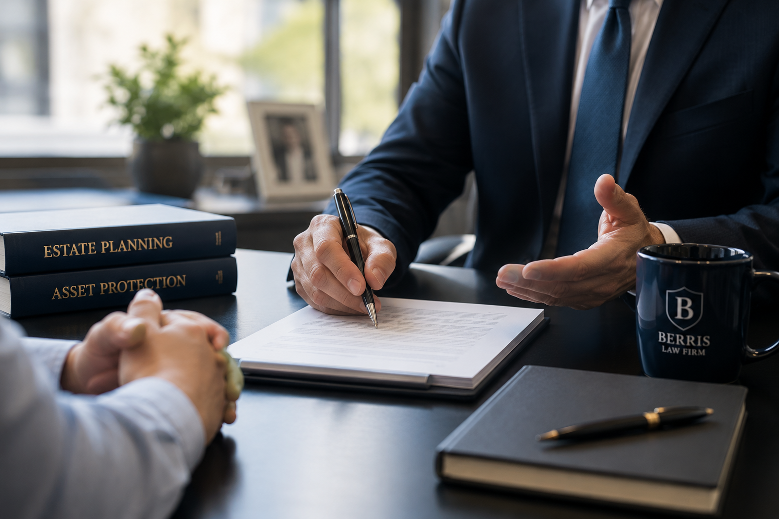 A Berris Law Firm attorney reviewing an estate planning and asset protection plan.